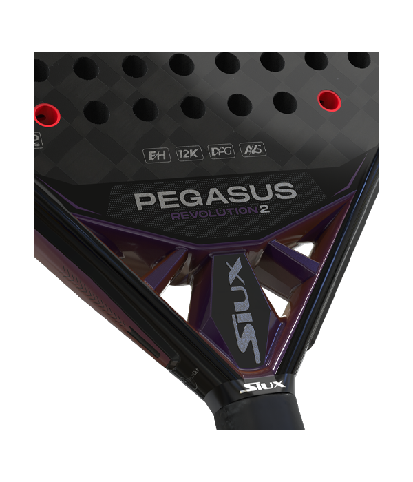 Siux Pegasus Revolution 2 2024 Padel Racket